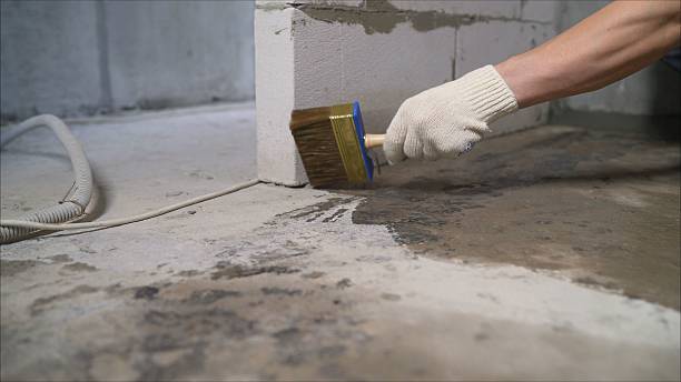 SJ Waterproofing Pros Waterproofing coverage map for Watertown, MN and surrounding area